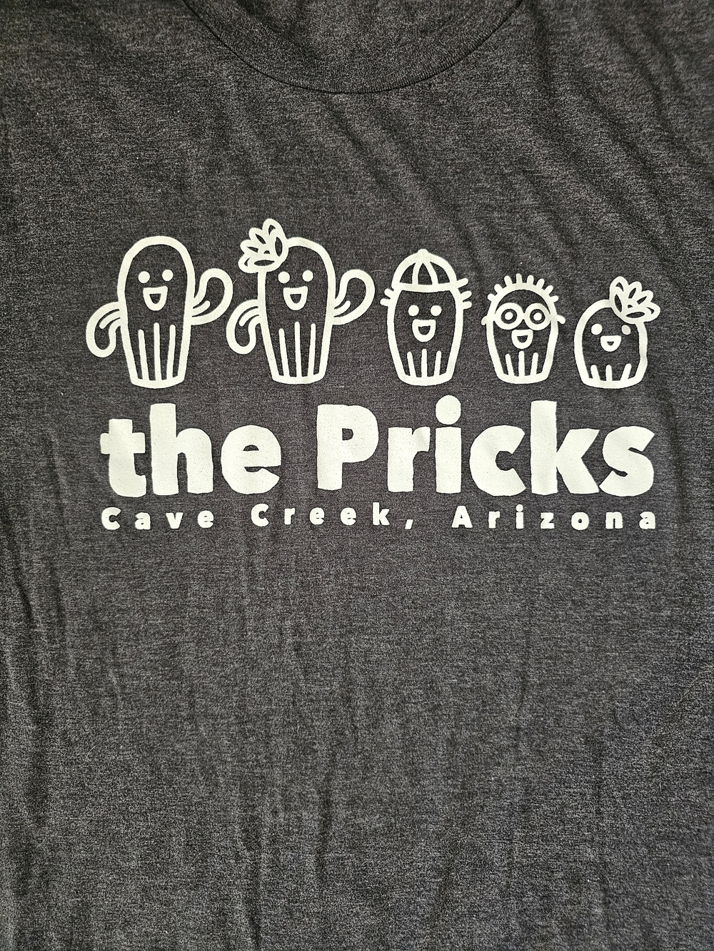 The Pricks Graphic Tee in Heather Charcoal - Picture 3 of 4